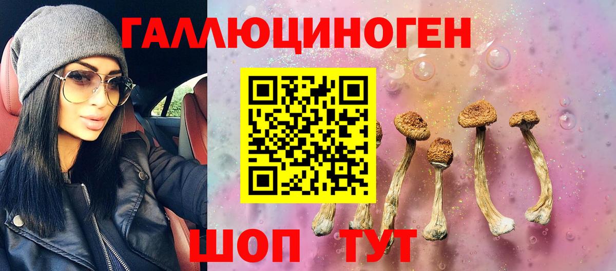 Комсомольск-на-Амуре  Галлюциногенные грибы Psilocybe  Вход с VPN 